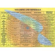 Vitamins & Minerals -- A4 di Jan van Baarle edito da Jan Van Baarle