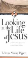 Looking at the Life of Jesus: 7 Seeker Bible Discussions on the Gospel of John di Rebecca Manley Pippert edito da IVP Connect