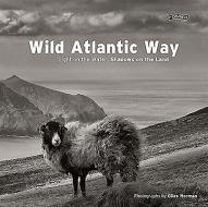 Wild Atlantic Way di Giles Norman edito da O'brien Press Ltd