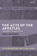 The Acts of The Apostles: An Introduction and Study Guide di Shelly (Brite Divinity School Matthews edito da Bloomsbury Publishing PLC