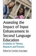 Assessing the Impact of Input Enhancement in Second Language Education: Evolution in Theory, Research and Practice di Carolyn Gascoigne edito da New Forums Press