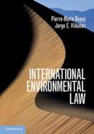 International Environmental Law di Pierre-Marie Dupuy, Jorge E. Vinuales edito da Cambridge University Press