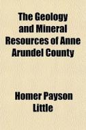 The Geology And Mineral Resources Of Ann di Homer Payson Little edito da General Books