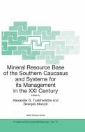 Mineral Resource Base of the Southern Caucasus and Systems for its Management in the XXI Century edito da Springer Netherlands