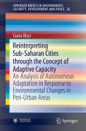 Reinterpreting Sub-Saharan Cities through the Concept of Adaptive Capacity di Liana Ricci edito da Springer International Publishing