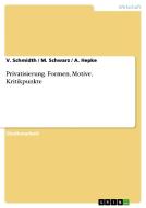 Privatisierung. Formen, Motive, Kritikpunkte di A. Hepke, V. Schmidth, M. Schwarz edito da GRIN Publishing