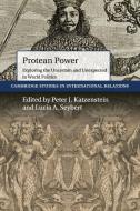 Protean Power edito da Cambridge University Press