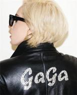 Lady Gaga x Terry Richardson di Lady GaGa, Terry Richardson edito da Hodder And Stoughton Ltd.