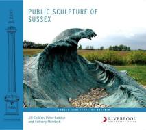 Public Sculpture Of Sussex di Jill Seddon, Peter Seddon, Anthony McIntosh edito da Liverpool University Press