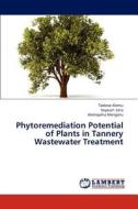 Phytoremediation Potential of Plants in Tannery Wastewater Treatment di Tadesse Alemu, Seyoum Leta, Alemayehu Mengistu edito da LAP Lambert Academic Publishing