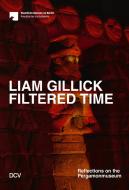 Liam Gillick. Filtered Time di Barbara Helwing, Liam Gillick, Sam Bardaouil, Till Fellrath edito da Dr. Cantz'sche Verlagsges