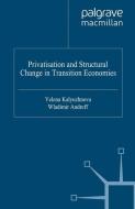 Privatisation and Structural Change in Transition Economies di Wladimir Andreff, Yelena Kalyuzhnova edito da Palgrave Macmillan UK