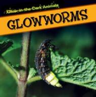 Glowworms di Kristen Rajczak edito da PowerKids Press