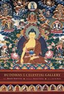 Buddhas of the Celestial Gallery Postcard Book di Romio Shrestha edito da Mandala Publishing Group