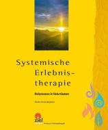 Systemische Erlebnistherapie di Annette Arla'ma Bergmann edito da Ziel- Zentrum F. Interdis