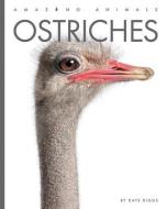 Ostriches di Kate Riggs edito da CREATIVE ED & PAPERBACKS