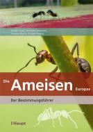Die Ameisen Europas di Claude Lebas edito da Haupt Verlag AG