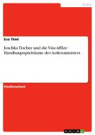 Joschka Fischer und die Visa-Affäre - Handlungsspielräume des Außenministers di Eva Thiel edito da GRIN Verlag
