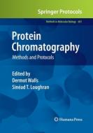 Protein Chromatography edito da Humana Press