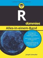 R Alles-in-einem-Band F R Dummies di Joseph Schmuller edito da Wiley