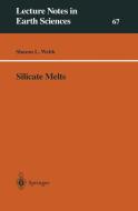 Silicate Melts di Sharon Webb edito da Springer Berlin Heidelberg
