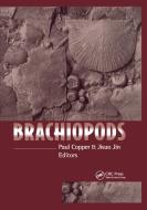 Brachiopods di Paul Copper edito da Taylor & Francis Ltd