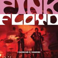Pink Floyd di Michael A. O'Neill edito da Danann Publishing Limited