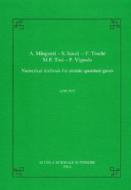 Minguzzi, A: Numerical methods for atomic quantum gases di Anna Minguzzi edito da Edizioni della Normale