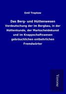 Das Berg- und Hüttenwesen di Emil Treptow edito da TP Verone Publishing