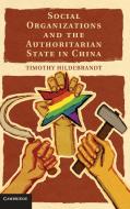Social Organizations and the Authoritarian State in China di Timothy Hildebrandt edito da Cambridge University Press