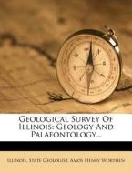 Geology And Palaeontology... di Illinois State Geologist edito da Nabu Press