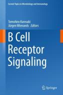 B Cell Receptor Signaling edito da Springer International Publishing