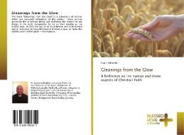 Gleanings from the Glow di Louis Saldanha edito da BHP