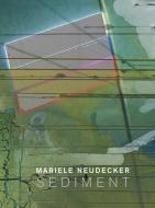 Mariele Neudecker - Sediment di Mariele Neudecker, Úna McCarthy edito da ANOMIE PUB