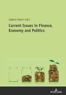 Current Issues In Finance, Economy And Politics edito da Peter Lang Ag