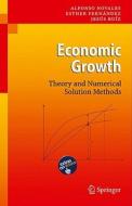 Economic Growth di Alfonso Novales, Esther Fernandez, Jesus Ruiz edito da Springer-verlag Berlin And Heidelberg Gmbh & Co. Kg