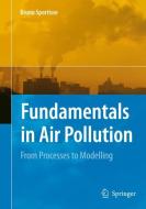Fundamentals in Air Pollution di Bruno Sportisse edito da Springer Netherlands