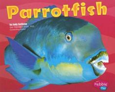 Parrotfish di Jody Sullivan edito da Capstone Press(MN)