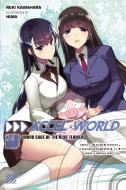 Accel World, Vol. 24 (light Novel) di Reki Kawahara edito da Little, Brown & Company