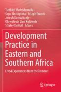 Development Practice In Eastern And Southern Africa edito da Springer Nature Switzerland AG