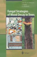 Fungal Strategies of Wood Decay in Trees di Julia Engels, Claus Mattheck, Francis W. M. R. Schwarze edito da Springer Berlin Heidelberg