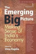 The Emerging Big Picture edito da Academic Foundation