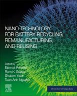 Nano Technology for Battery Recycling, Remanufacturing, and Reusing edito da ELSEVIER