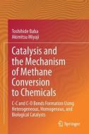 Catalysis and the Mechanism of Methane Conversion to Chemicals: C-C and C-O Bonds Formation Using Heterogeneous, Homogenous, and Biological Catalysts di Toshihide Baba, Akimitsu Miyaji edito da SPRINGER NATURE