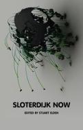 Sloterdijk Now di Stuart Elden edito da Polity Press