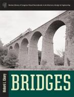 Bridges di Richard L. Cleary edito da W W NORTON & CO