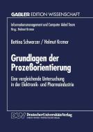 Grundlagen der Prozeßorientierung edito da Deutscher Universitätsverlag
