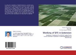 Working of EFS in Extension di Ghulam Yasin Khoso, Amjad Ali, Dr. Badar Naseem Siddiqui edito da LAP Lambert Acad. Publ.