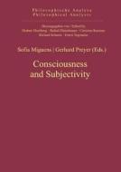 Consciousness and Subjectivity edito da Gruyter, Walter de GmbH