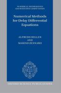 Numerical Methods for Delay Differential Equations di Alfredo Bellen, Marino Zennaro edito da OXFORD UNIV PR